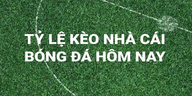 soi kèo bóng đá tối nay soi kèo bóng đá tối nay