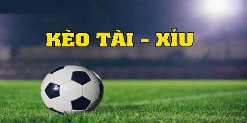kèo tài xỉu 2.5 nghĩa là gì mẹo thắng kèo tài xỉu trong bóng đá